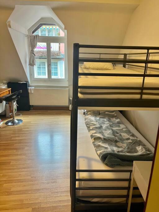 Apartment Near Central Station ซูริก ภายนอก รูปภาพ
